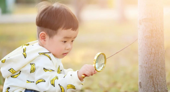 教育孩子自己的事情自己做感悟【幼儿园绘本自己的事情自己做感悟】