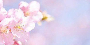 红鸾桃花入命啥意思【红鸾桃花是正缘吗】