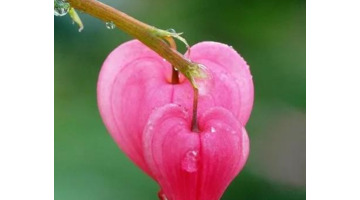 表示靠谁都不如靠自己的句子【靠谁都不如靠自己的句子怎么形容】