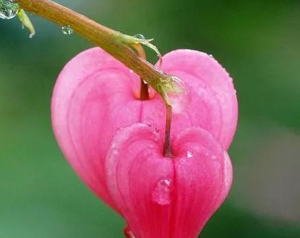 表示靠谁都不如靠自己的句子【靠谁都不如靠自己的句子怎么形容】