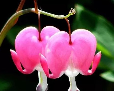 表示靠谁都不如靠自己的句子【靠谁都不如靠自己的句子怎么形容】