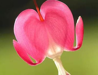 表示靠谁都不如靠自己的句子【靠谁都不如靠自己的句子怎么形容】