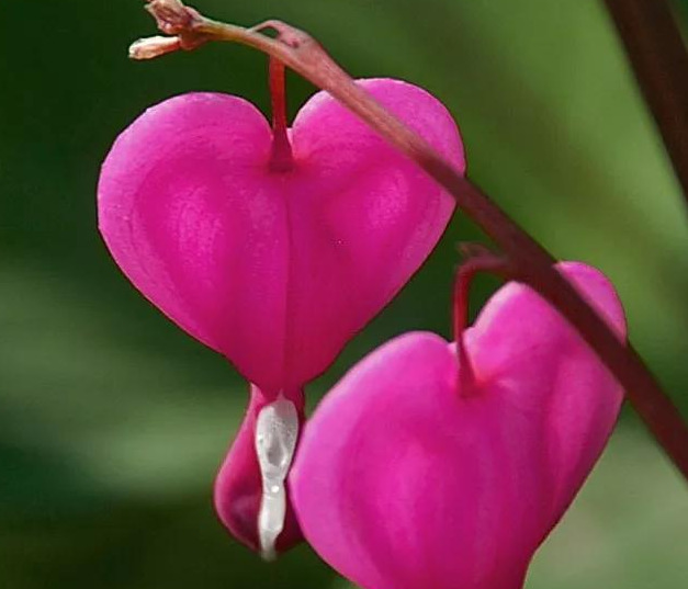 表示靠谁都不如靠自己的句子【靠谁都不如靠自己的句子怎么形容】