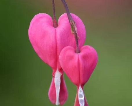 表示靠谁都不如靠自己的句子【靠谁都不如靠自己的句子怎么形容】