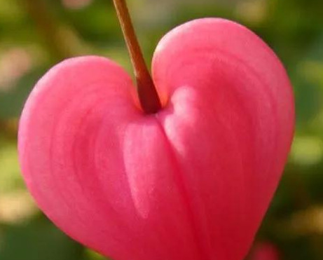 表示靠谁都不如靠自己的句子【靠谁都不如靠自己的句子怎么形容】