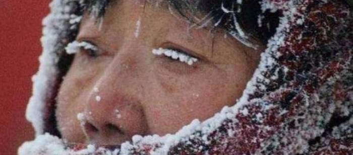 不到东北不知道中国之富【东北为什么不富裕】