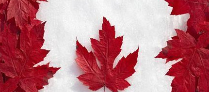 牙齿掉了意味什么【掉下来的牙怎么处理吉利】