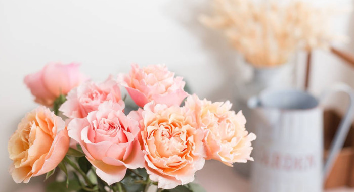 花店名称寓意【花店名称怎么取】