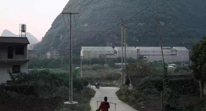 董功船长之家【董琦个人资料】