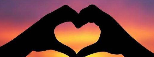 彩虹色的花读后感300字【彩虹色的花读后感一年级】