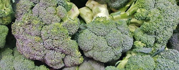 低脂减肥水果有哪些【什么水果最低脂】