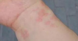 珍珠真假辨别方法【珍珠怎样辨别真假图】