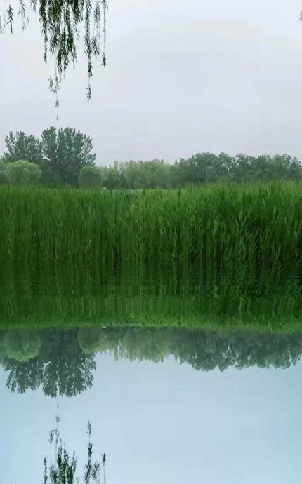 四季的风有什么特点【四季的风像什么】