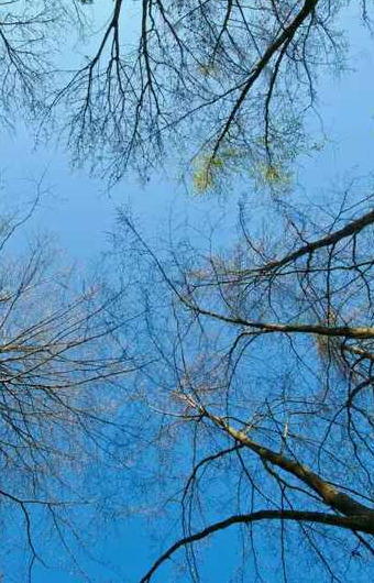 四季的风有什么特点【四季的风像什么】