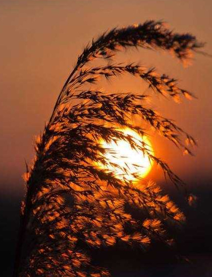 四季的风有什么特点【四季的风像什么】