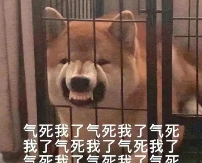 搞笑互动文案【回复率高的互动文案】