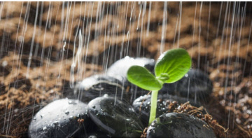 老师对学生新年祝福语简短【老师对学生新年祝福语大全 简短】