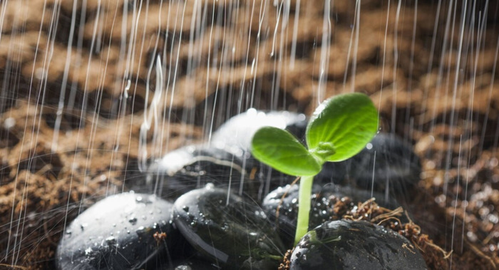 老师对学生新年祝福语简短【老师对学生新年祝福语大全 简短】