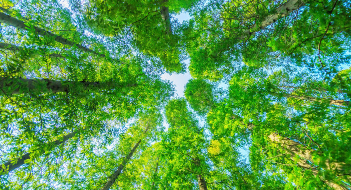 老师对学生新年祝福语简短【老师对学生新年祝福语大全 简短】