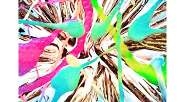 我想看八仙过海的图片【八仙过海高清全图】