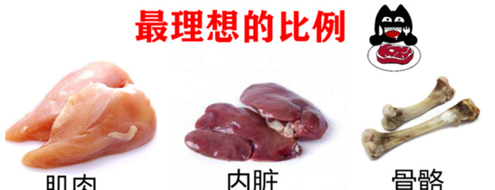 猫猫吃鸡肝可以吗【猫咪常吃鸡肝好不好】