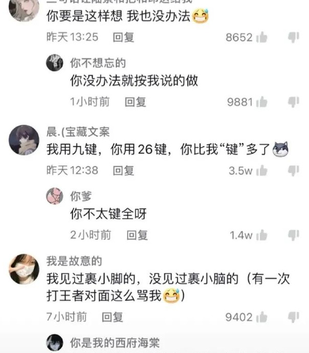 能把别人骂崩溃的句子长句【能把别人骂到怀疑人生的句子】