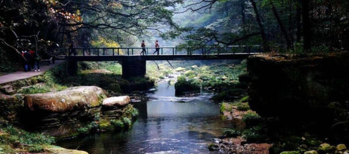 6月去张家界旅游好吗【五月份去张家界合适吗】