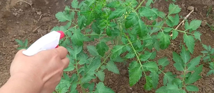 蔬菜肥料简笔画【肥料简笔画卡通】