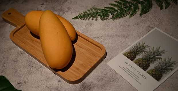 关于以书为伴的句子【与书为伴的唯美句子寄语】