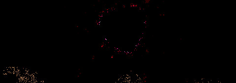 关于以书为伴的句子【与书为伴的唯美句子寄语】