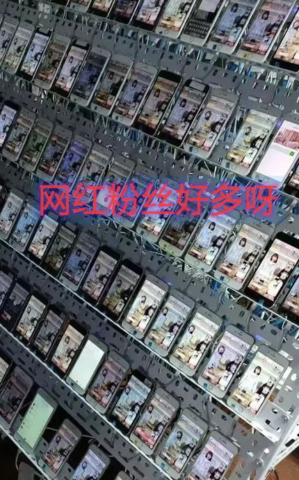 当网红怎么起步【想做网红的第一步】