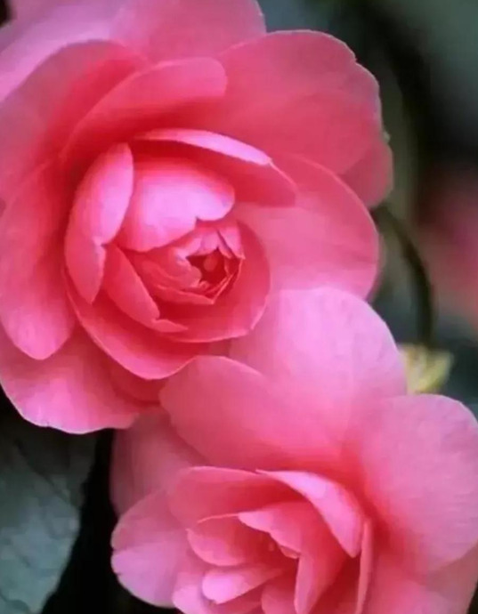 沉默不想说话的说说【怎样学会沉默不说话的句子】