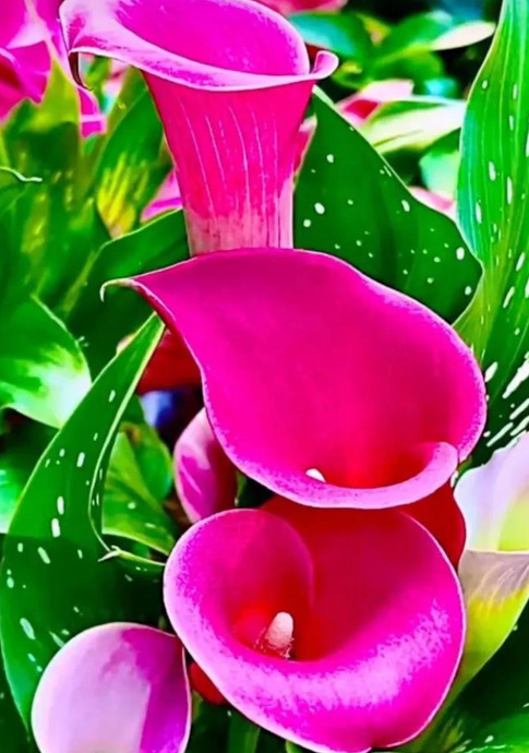 沉默不想说话的说说【怎样学会沉默不说话的句子】