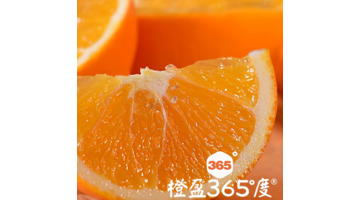 橙子卖点文案【橙心优选文案】