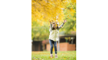 十月的色彩作文【十月的色彩作文800字】