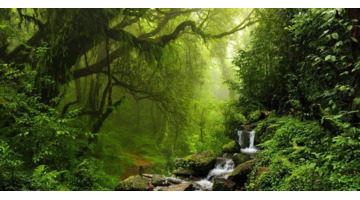 西藏必须去的景点【必须去的景点杭州】