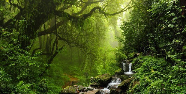 西藏必须去的景点【必须去的景点杭州】