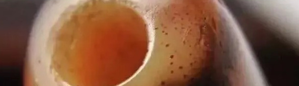 如何鉴定九眼天珠【如何鉴别九眼天珠】