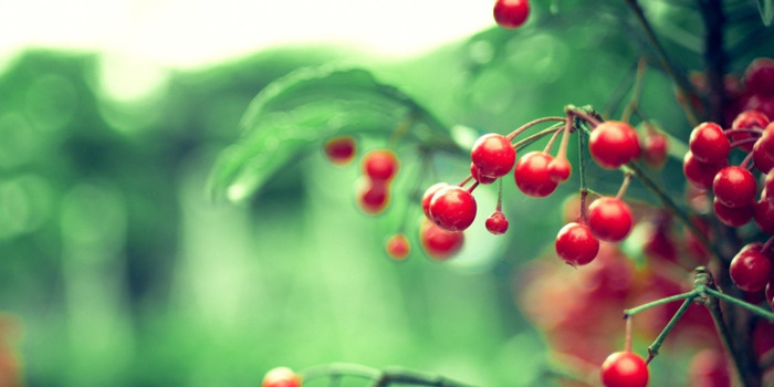 庚辰日柱好吗【庚辰日柱男命长相】