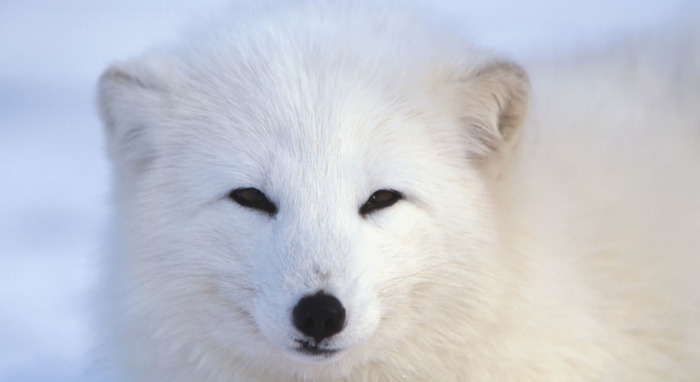 仙家手指跳动是怎么回事儿【手中指跳动说明有仙家】