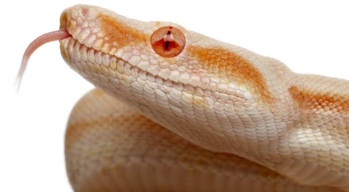 仙家手指跳动是怎么回事儿【手中指跳动说明有仙家】