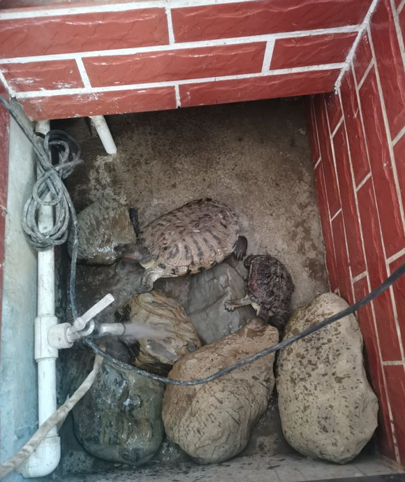 水幕景观墙怎么做【水幕景观墙厂家】