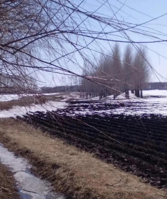 关于缘聚缘散的句子【关于缘聚缘散的说说】