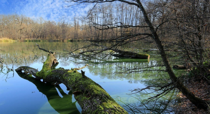 关于缘聚缘散的句子【关于缘聚缘散的说说】