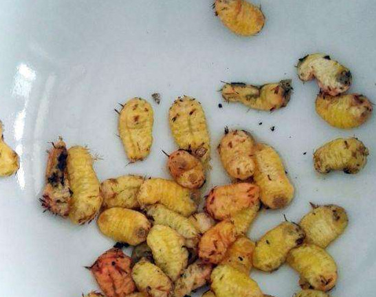 刷木架子刷着怎样弄就不痛了【让刷木架子刷怎么样才能不疼】