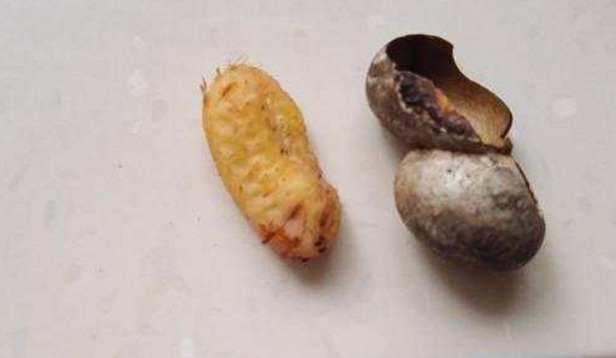 刷木架子刷着怎样弄就不痛了【让刷木架子刷怎么样才能不疼】