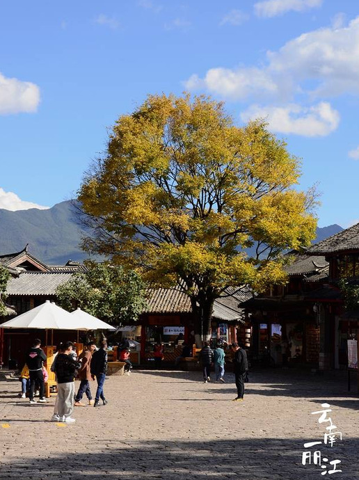 去一趟云南丽江旅游得多少钱【从昆明去丽江旅游大概要多少钱一个人】