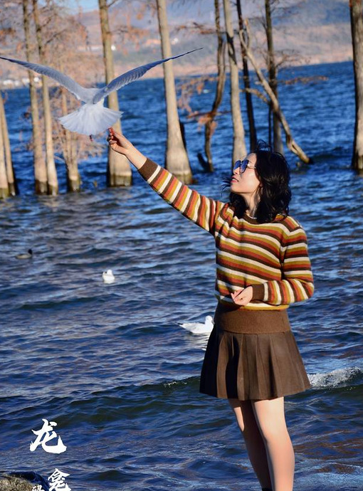 去一趟云南丽江旅游得多少钱【从昆明去丽江旅游大概要多少钱一个人】