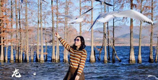去一趟云南丽江旅游得多少钱【从昆明去丽江旅游大概要多少钱一个人】