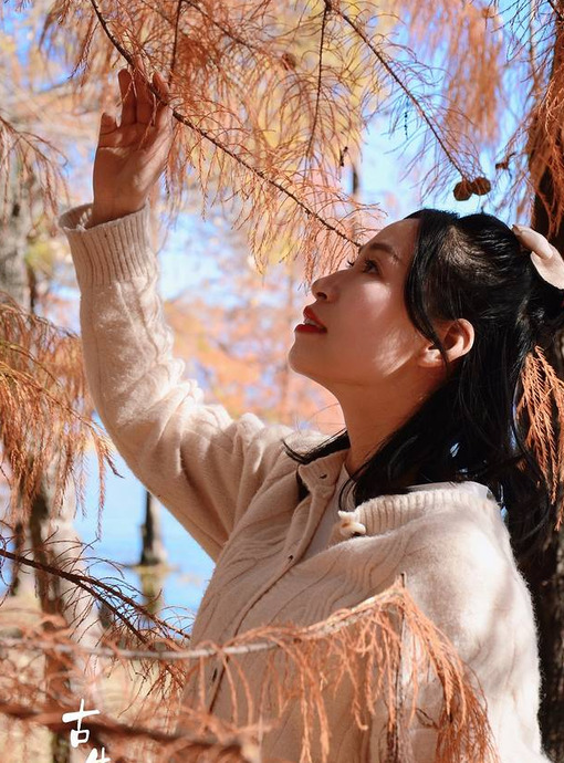 去一趟云南丽江旅游得多少钱【从昆明去丽江旅游大概要多少钱一个人】